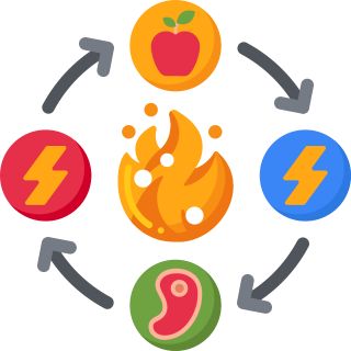 Wzmocnienie metabolizmu